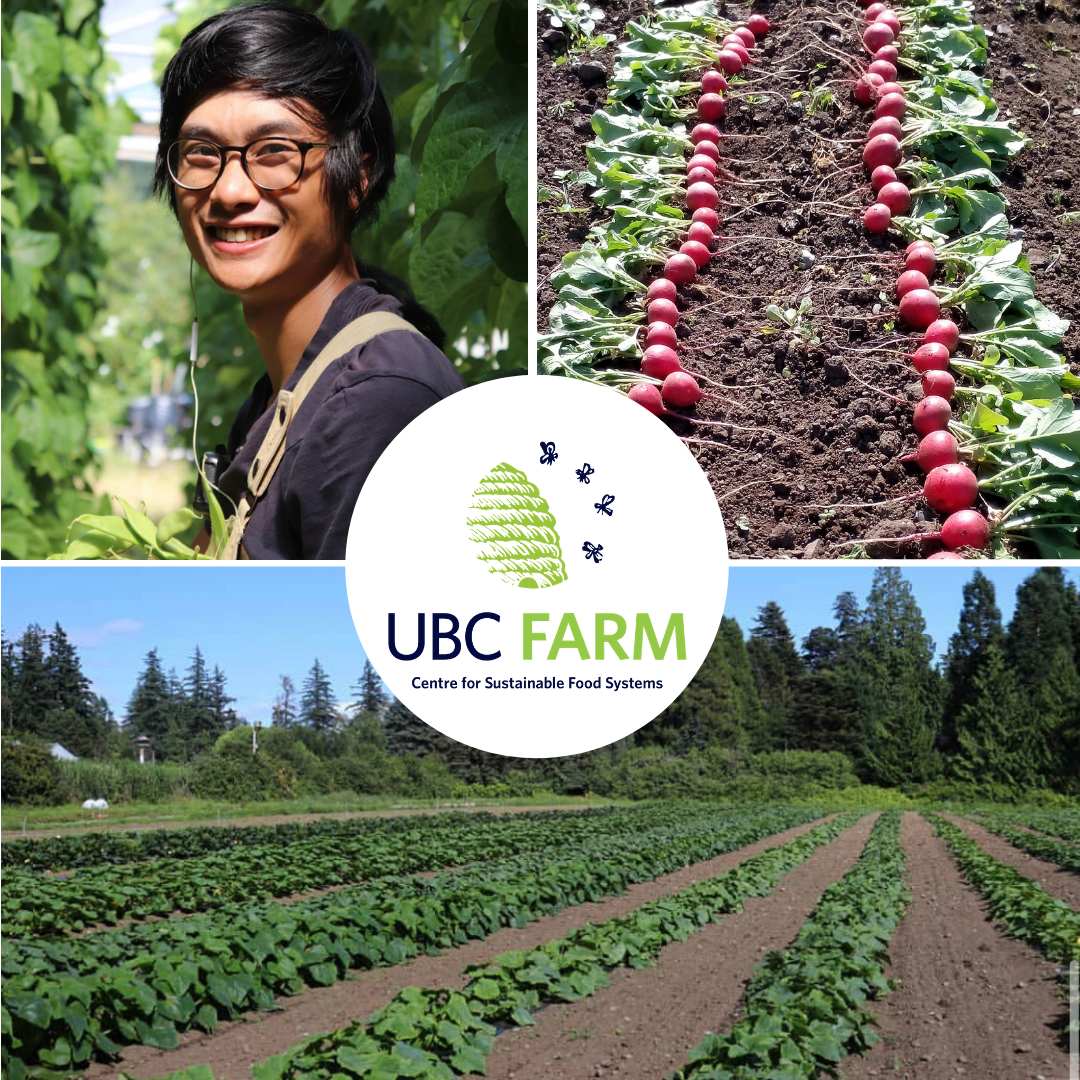 Meet BCESC Member Evan Goh of UBC Farm