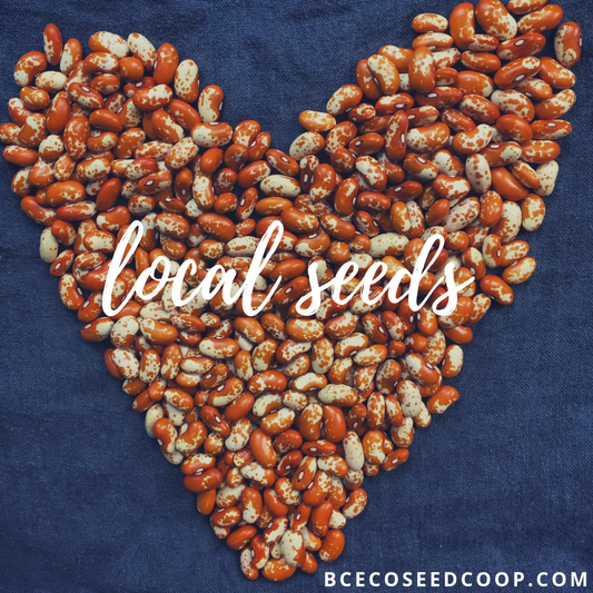 Amazing Seeds - why local, diverse, resilient seeds matter